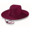 3800A_colour_image_file(Maroon)