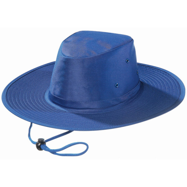 3800A_colour_image_file(Royal)