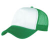 4055_colour_image_file(Emerald,White)