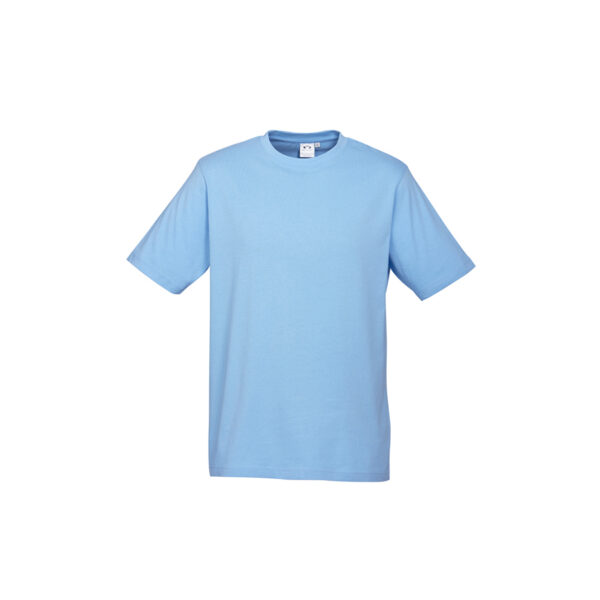 T10032_T10012_Springblue