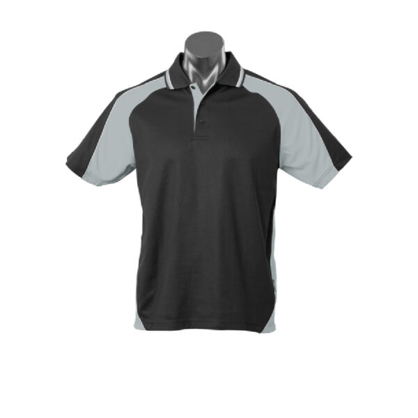 1309.Panorama.BlackAshe(F)