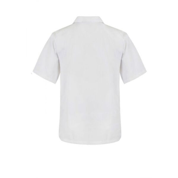 _078_ws3001_white_2 _078_ws3001_white_2